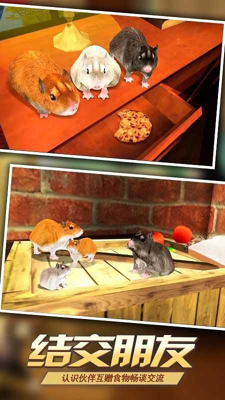 老鼠模拟器3D
