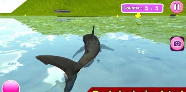 鲨鱼模拟器破解版无限经验