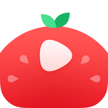 番茄视频app